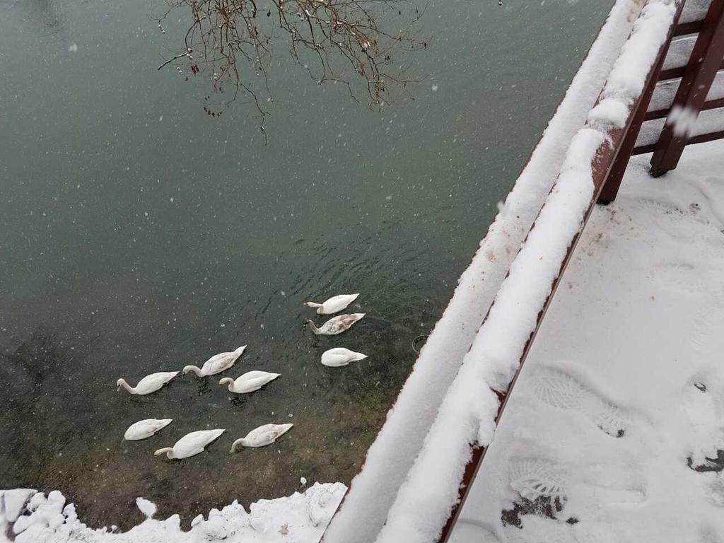 Hotel Vila Vrbas Banja Luka Esterno foto